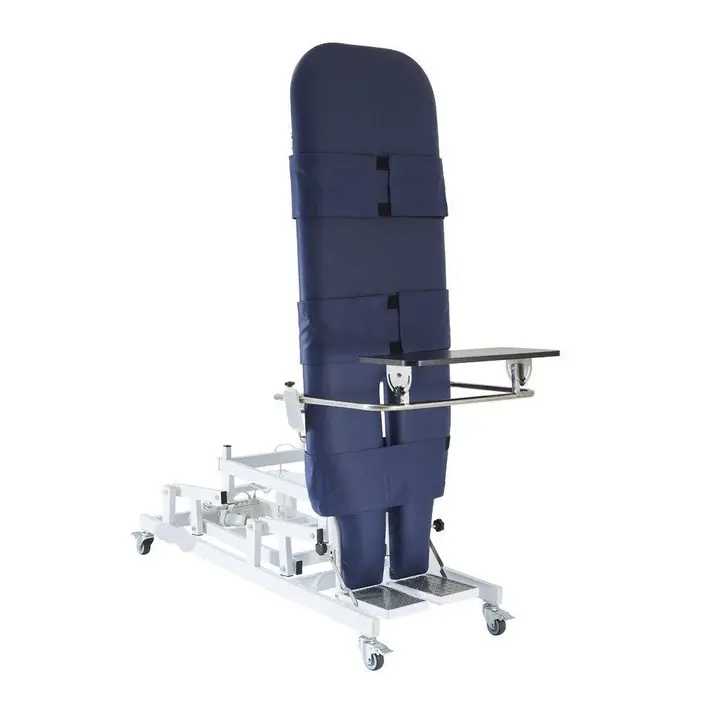 Morecare Hi-Low Electric Tilt Table for Rehabilitation (Lilac)